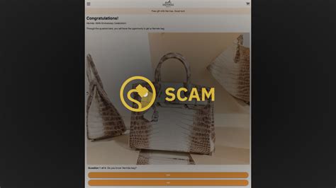 hermes 184th anniversary free bag scam|NewsMeter .